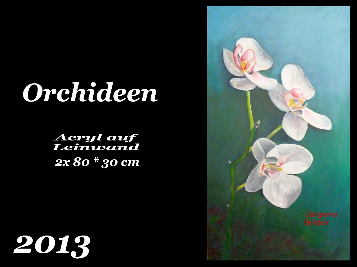 2013-Orchideen